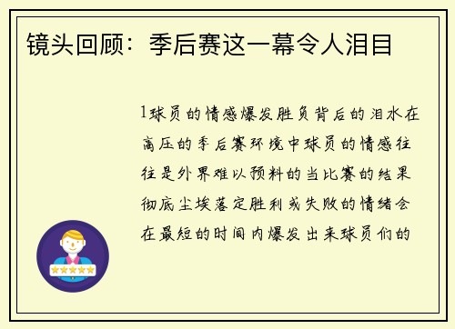镜头回顾：季后赛这一幕令人泪目